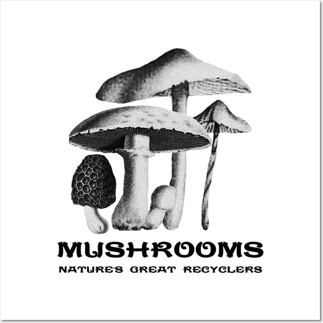 Mushrooms Recycle Wall Art by Izmet